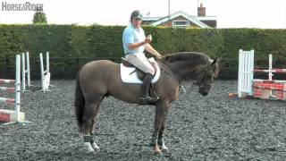 Tim Stockdale | Creating a Good Canter Through Halt Transitions | HorseandRider UK