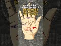 命理 palmistry 八字 手相 國學智慧