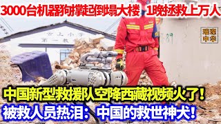 中国新型救援队空降西藏视频火了！3000台机器狗撑起倒塌大楼，1晚拯救上万人，被救人员热泪：中国的救世神犬！#机器狗 #救援 #科技时代