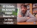 🔵 El Ciclado Del Acuario Como Nunca Te lo han Contado,El Ciclo Del Nitrógeno Bien Explicado