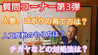 【おしえて！竹内さん〜！】質問コーナーPart３！ニンジン、ゴボウの育て方から人工受粉、チガヤ対処法