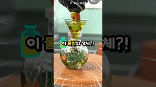 🧪내 손으로 만드는 해리포터 물약?!