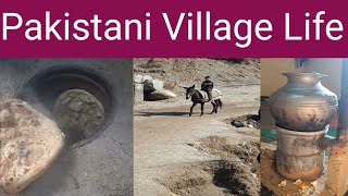 Village Life Pakistan | Buffalo calf care| Chacha Bhatija
