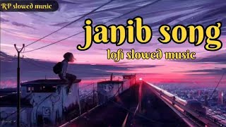 janib Hindi love lofi song / Dil Musafir Hai Tere Ishq Me lofi slowed reverb song/ #trending  #viral