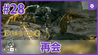 【ELDENRING】 初見プレイ🔰 #28【ネタバレあり】