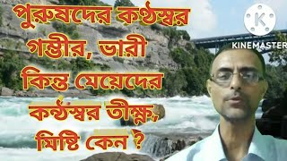 পুরুষ কণ্ঠস্বর গম্ভীর কিন্ত মেয়েদের তীক্ষ্ণ ও মিষ্টি কেন / Men Have Chest Voice Women Sweet Voice