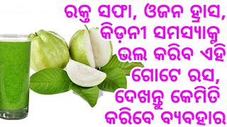 ରକ୍ତ ସଫା, ଓଜନ ହ୍ରାସ, କିଡନୀ ସମସ୍ଯା ଆଦୀ ପରି ରୋଗକୁ ଗୋଟିଏ ଝଟକାରେ ଭଲ କରିବ ପିଜୁଳି ପତ୍ରର ରସ, ଦେଖନ୍ତୁ ବ୍ୟବହା