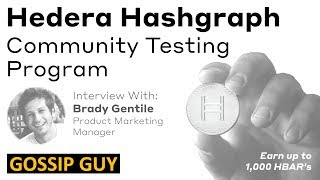 Hedera Hashgraph - Community Testing Program