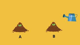 Plant Reproduction | Part -2 | Jnana Chaitanya