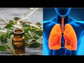 How to Cleanse Your Lungs with Eucalyptus Oil