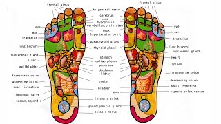 What is Foot Reflexology - Foot Massage And Benefits - How to do Foot Reflexology Step By Step