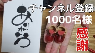 【ガーデニングDIY】汚庭はお休み！チャンネル登録者1000人達成の感謝の気持ち！皆さんありがとう！