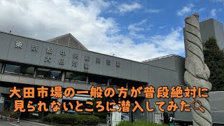 大田市場の一般の人が普段絶対に見れないところに潜入してみた🔎