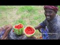 watermelon juice farm fresh fruit juice making watermelon craft watermelon experiment