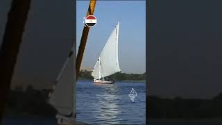 Felucca o veleiro do Nilo #shorts