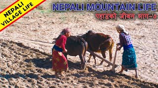 Nepali Mountain Lifestyle - Part 7 | My home 😍 | IamSuman
