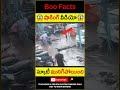 😱షాకింగ్ స్కూటీ మునిగి😱 fall in water live visuals shorts youtubeshorts awareness rains