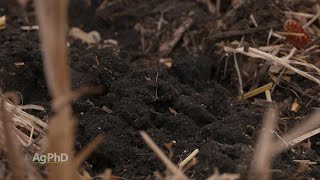 Organic Matter in Soil #1069 (Air Date 9-30-18)