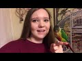 daily routine with all my crazy birds *what it’s like to own parrots*