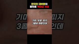 한국사람들이 대부분이 몰랐을 역대급 사실