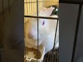 Bunny doesn’t want to share food