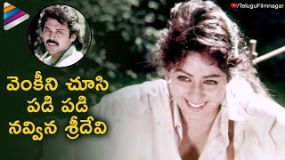 Sridevi Laughs at Venkatesh | Kshana Kshanam Telugu Movie | Brahmanandam | RGV | MM Keeravani