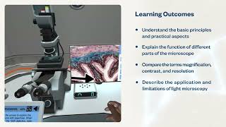 Light Microscopy | Virtual Lab
