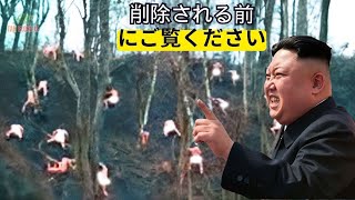 地獄からの脱出：北朝鮮脱出者が直面する運命とは？ドキュメンタリー