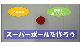 【STEAM保育】スーパーボールを作ろう～STEAM教育をもっと幼児期に～