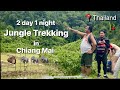 Jungle Trekking Adventure 🐘 | Chiang Mai, Thailand 🇹🇭