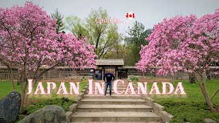 Kariya Park Mississauga tour