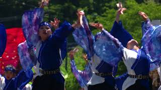 白里浜っ子さん　常陸国YOSAKOI祭り２０１８　袋田会場