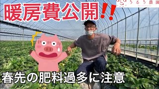 暖房費公開‼︎春先に肥料を抑える理由とは？