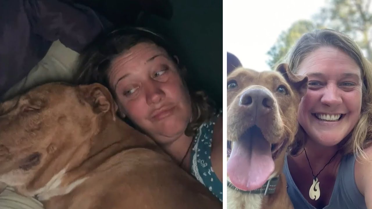 Woman Wakes Up Next to Strange Dog in Bed