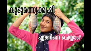 കുറഞ്ഞ ചിലവിൽ വലിയ വരുമാനം കിട്ടുന്ന കൂടുമത്സ്യക്കൃഷി/ Cage Fish Farming/Akiya Komachi