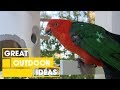 How to Make a Bird-Feeder | Outdoor | Great Home Ideas