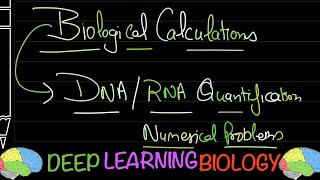 Numerical Problems DNA RNA Quantification using UV Spectrophotometer