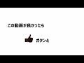 デグーのお腹が超ふわぷにで気持ちいんだけどｗ【デグー成長日記】