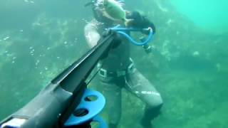 #3 Ψαροντούφεκο Κεφαλονιά 6/4/2017 (Spearfishing kefalonia 6/4/2017)