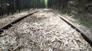 旧国鉄 倉吉線 廃線跡 泰久寺駅跡～山守トンネル 4K撮影 2017