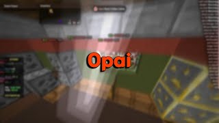 Opai Client DESTROYS Watchdog