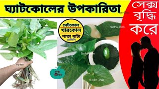 ঘ্যাটকোলের উপকারিতা | ঘেটকোল রেসিপি | ঘাটকোল পাতা বাটা | খারকোল পাতার উপকারিতা |  খারকোল পাতা বাটা |