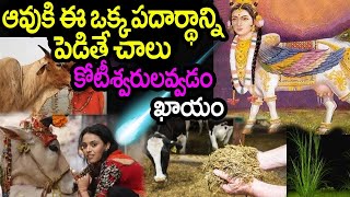 ఉదయాన్నే నిద్రలేచిన వెంటనే ఆవుకి ఈ 3 తినిపిస్తే చాలు ! మీరు కోటీశ్వరులు అవ్వడం ఖాయం-VastuTipsTelugu