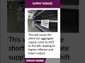 Supply Shocks | 60 Second Economics | A-Level & IB