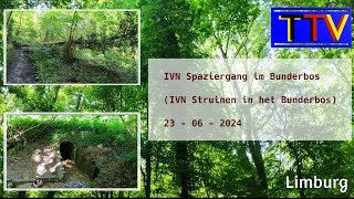 IVN Strolling through the Bunderbos 23 - 06 - 2024