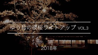 幻想的な夜桜ライトアップ 輝く桜の水鏡３｜綾部の料亭ゆう月