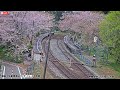 【live】🌸能登さくら駅🌸 満開桜ライブカメラ ＜石川県穴水町 のと鉄道／能登鹿島駅周辺＞2024年4月19日 金