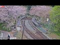 【live】🌸能登さくら駅🌸 満開桜ライブカメラ ＜石川県穴水町 のと鉄道／能登鹿島駅周辺＞2024年4月19日 金