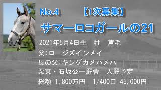 募集No.4_サマーロコガールの21（父：ロージズインメイ）