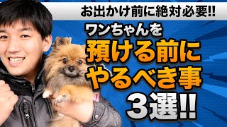 お出かけ前に絶対必要！ワンちゃんを預ける前にやるべき事3選！